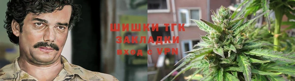 дмт Алексин