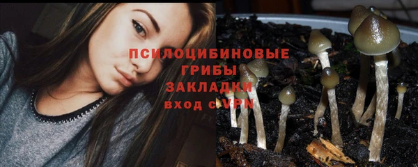 jwh Алзамай