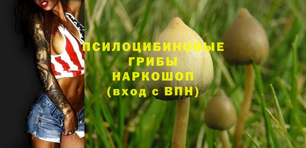 дмт Алексин